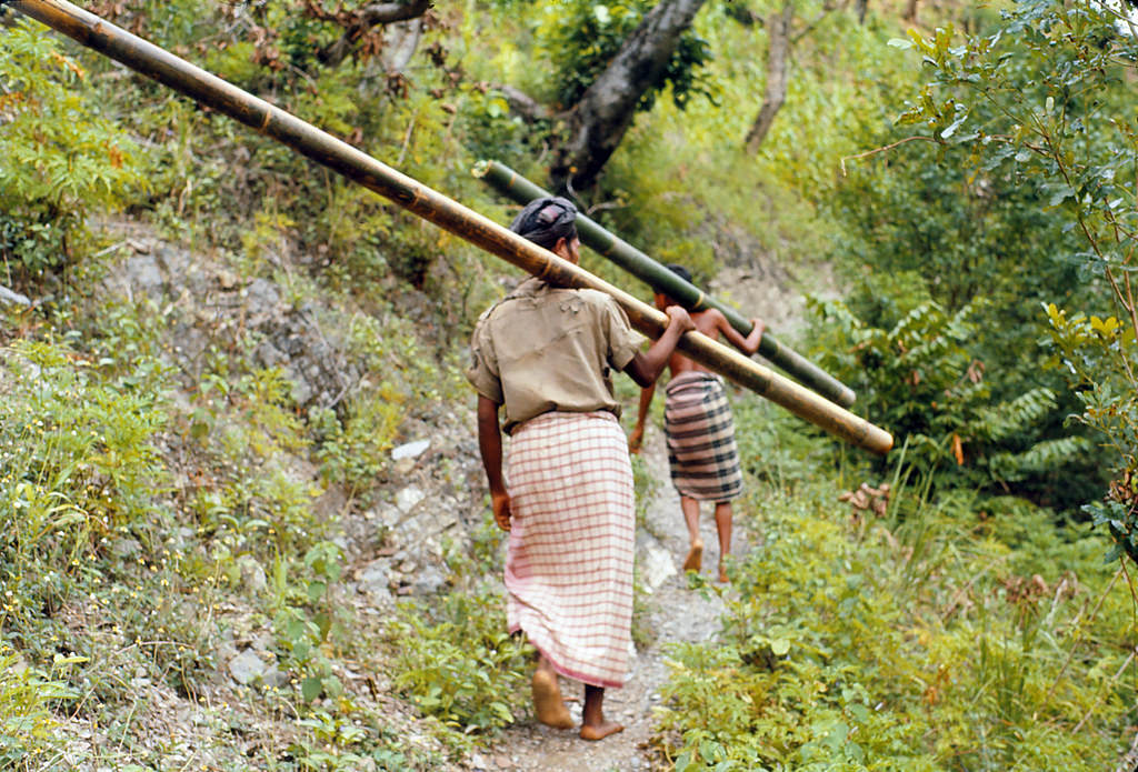 Near iquica, Timor, 1970s