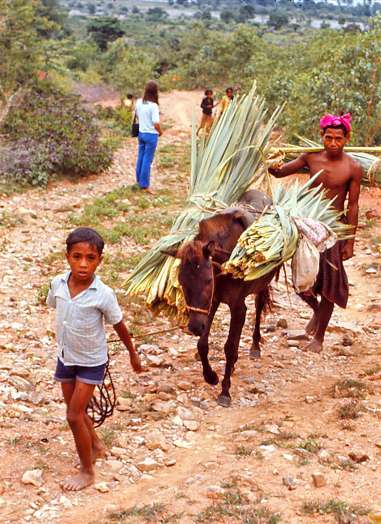 Near iquica, Timor, 1970s