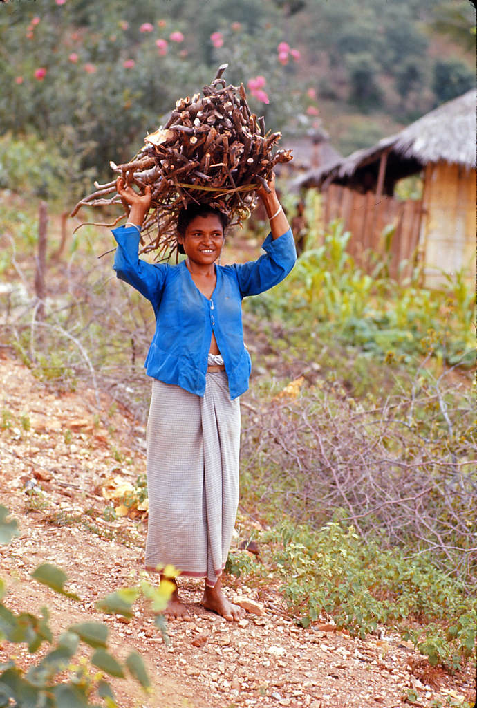 Near iquica, Timor, 1970s