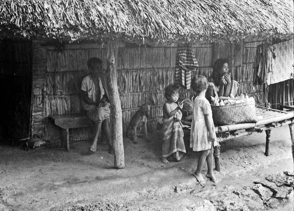 Bacau, Timor, 1970s