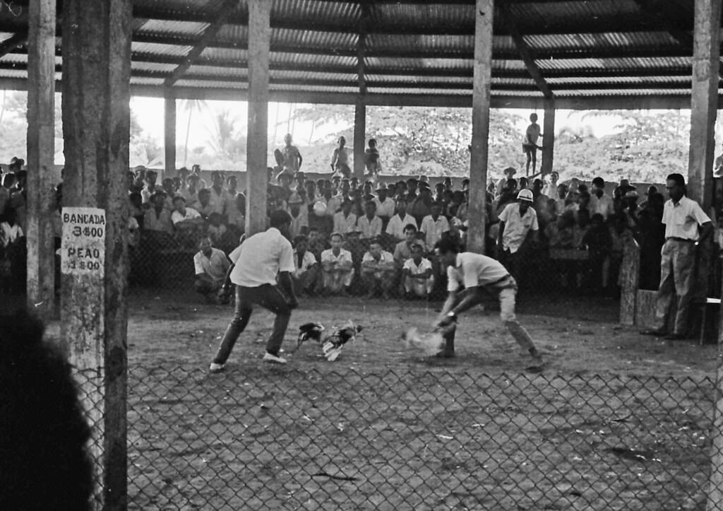 Timor, 1970s