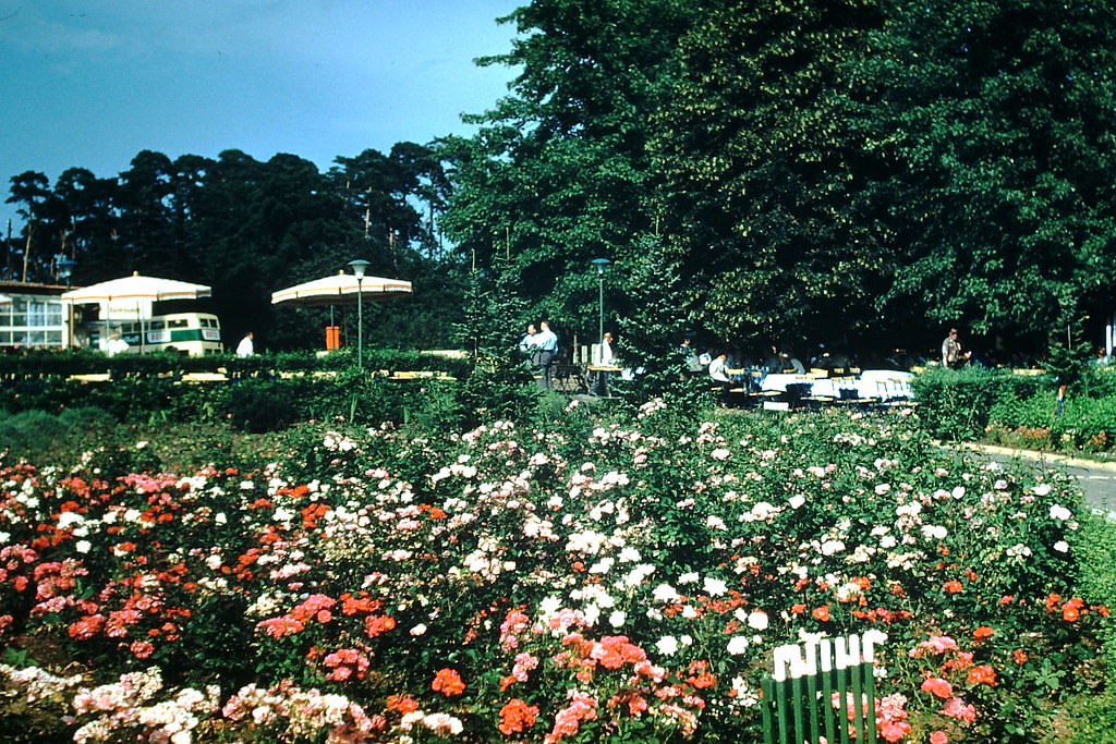 At Kaiser Wilhelm Tower- Berlin, Germany, 1953