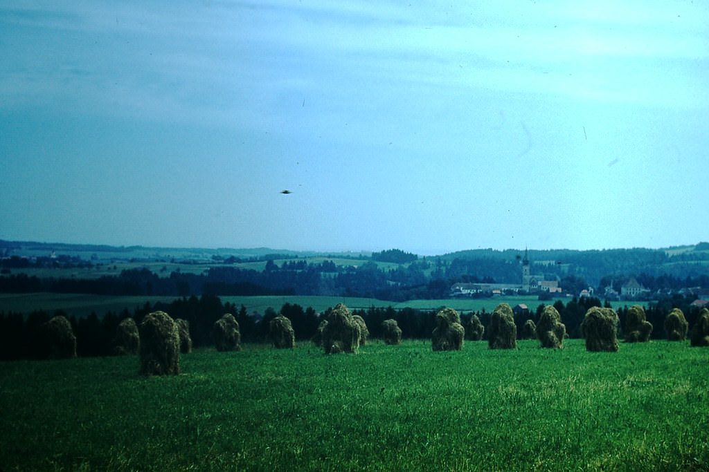 Countryside Near Rottenburg, Germany, 1953