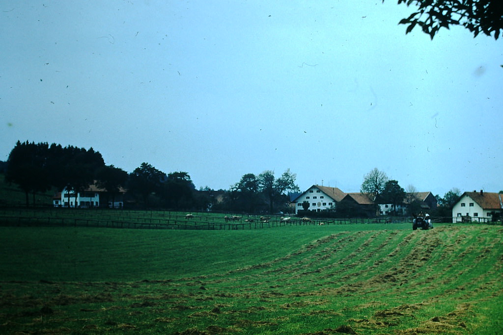 Farm Houses- Village of Ilgen, Germany, 1953