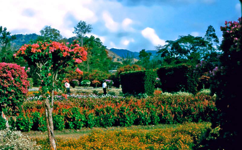 Kingston Gardens, Jamaica, 1960s