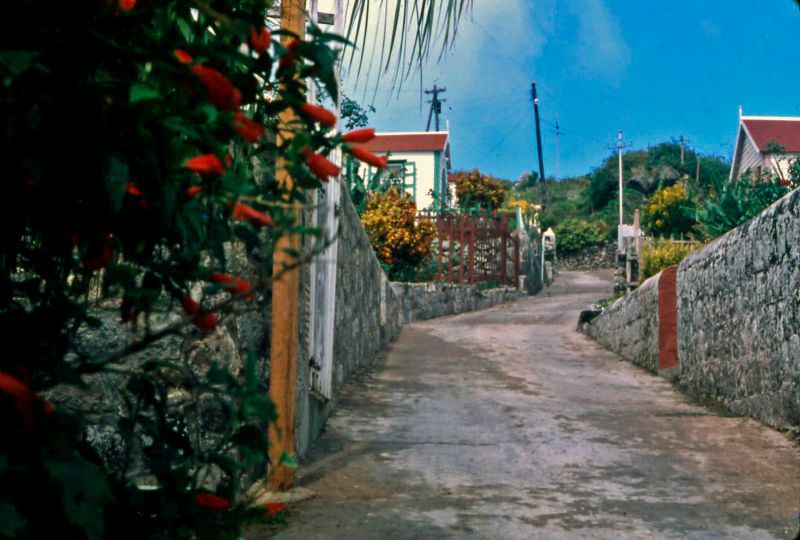 Saba, 1960s