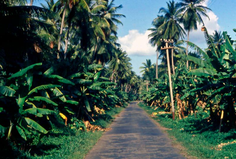 Dominica road, 1960s