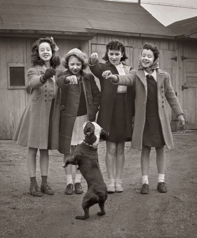 Adorable Vintage Photos of Children With their Beloved Pets