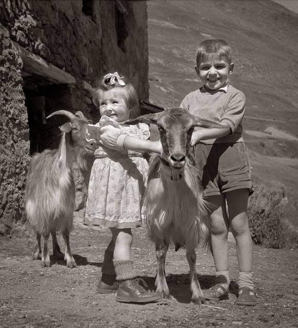 Adorable Vintage Photos of Children With their Beloved Pets