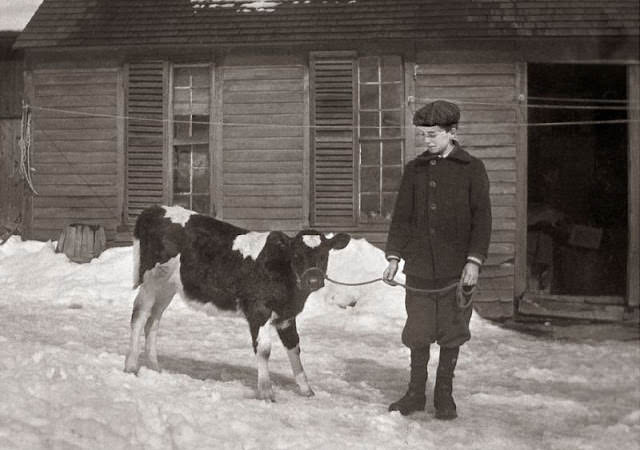 Adorable Vintage Photos of Children With their Beloved Pets