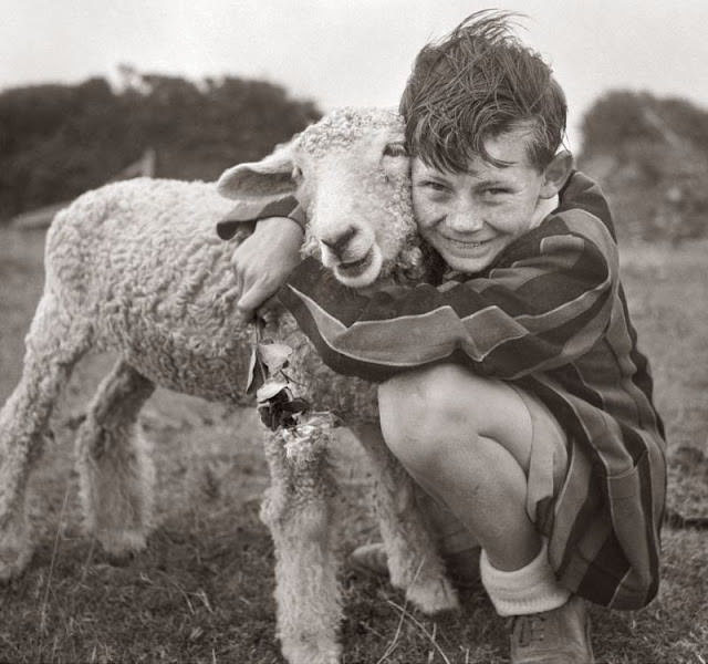 Adorable Vintage Photos of Children With their Beloved Pets