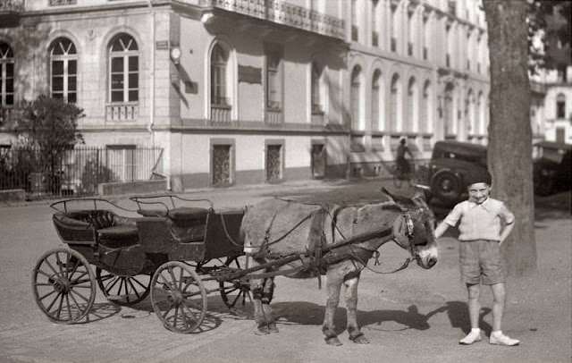 Adorable Vintage Photos of Children With their Beloved Pets