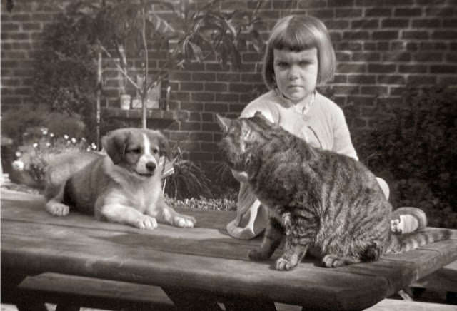 Adorable Vintage Photos of Children With their Beloved Pets