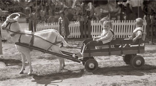 Adorable Vintage Photos of Children With their Beloved Pets