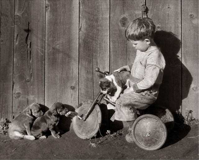 Adorable Vintage Photos of Children With their Beloved Pets