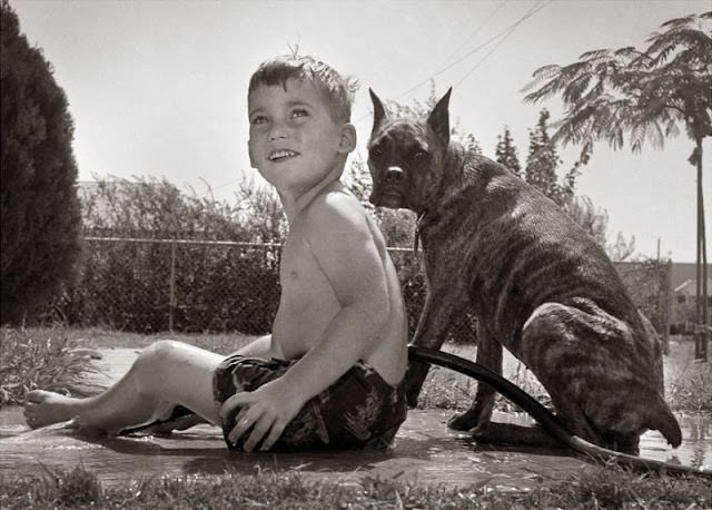 Adorable Vintage Photos of Children With their Beloved Pets