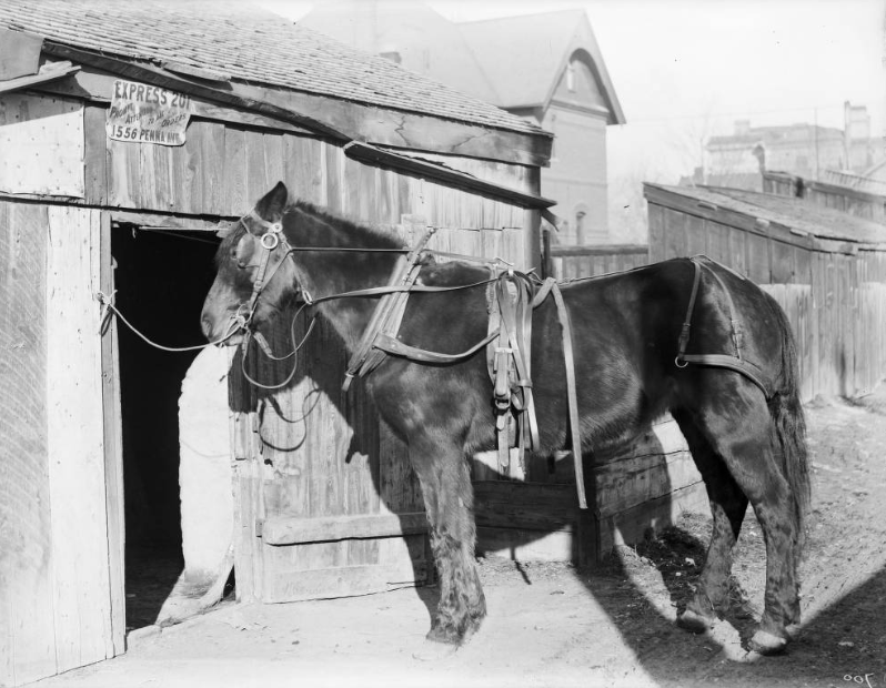 Freight office & house, 1890s.