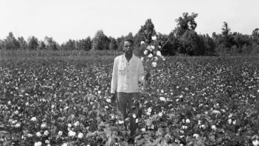 Memphis life 1950s