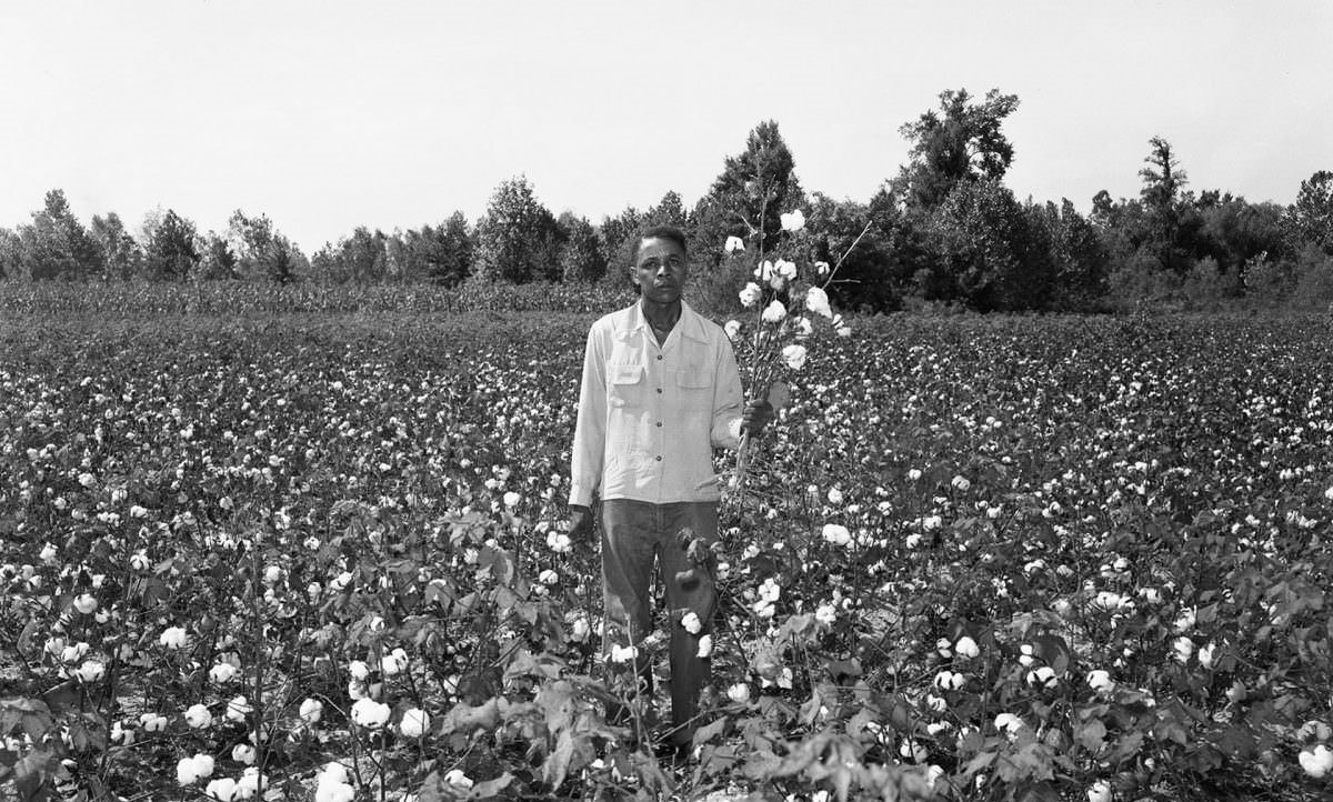 Memphis life 1950s
