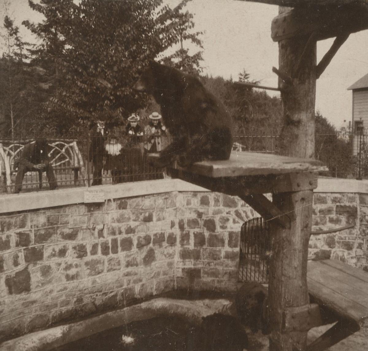 Washington Park Zoo, 1900