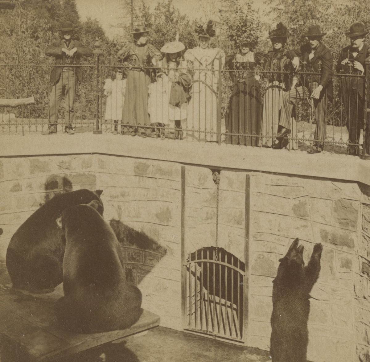 Washington Park Zoo, 1900