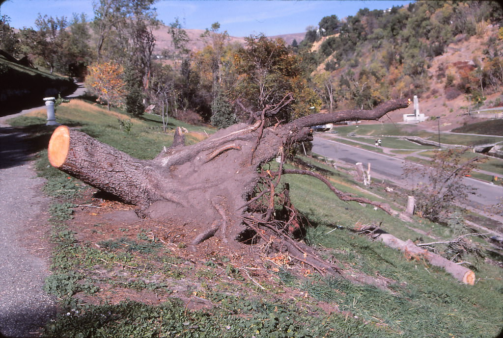 City Creek Canyon, Salt Lake City, 1990s