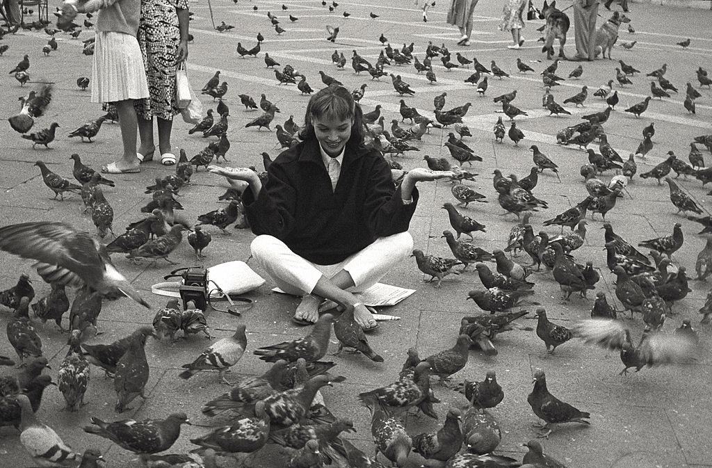 The actress Elsa Martinelli sits in San Marco Place among pigeons, during the 17th Venice Intenational Film Festival.