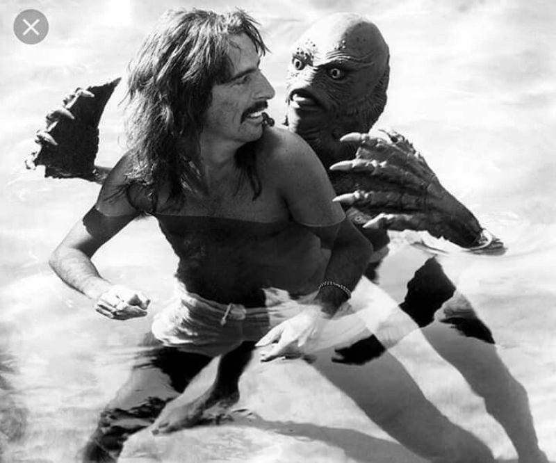 Alice Cooper Having Fun at the Pool with his Family in Los Angeles, 1975