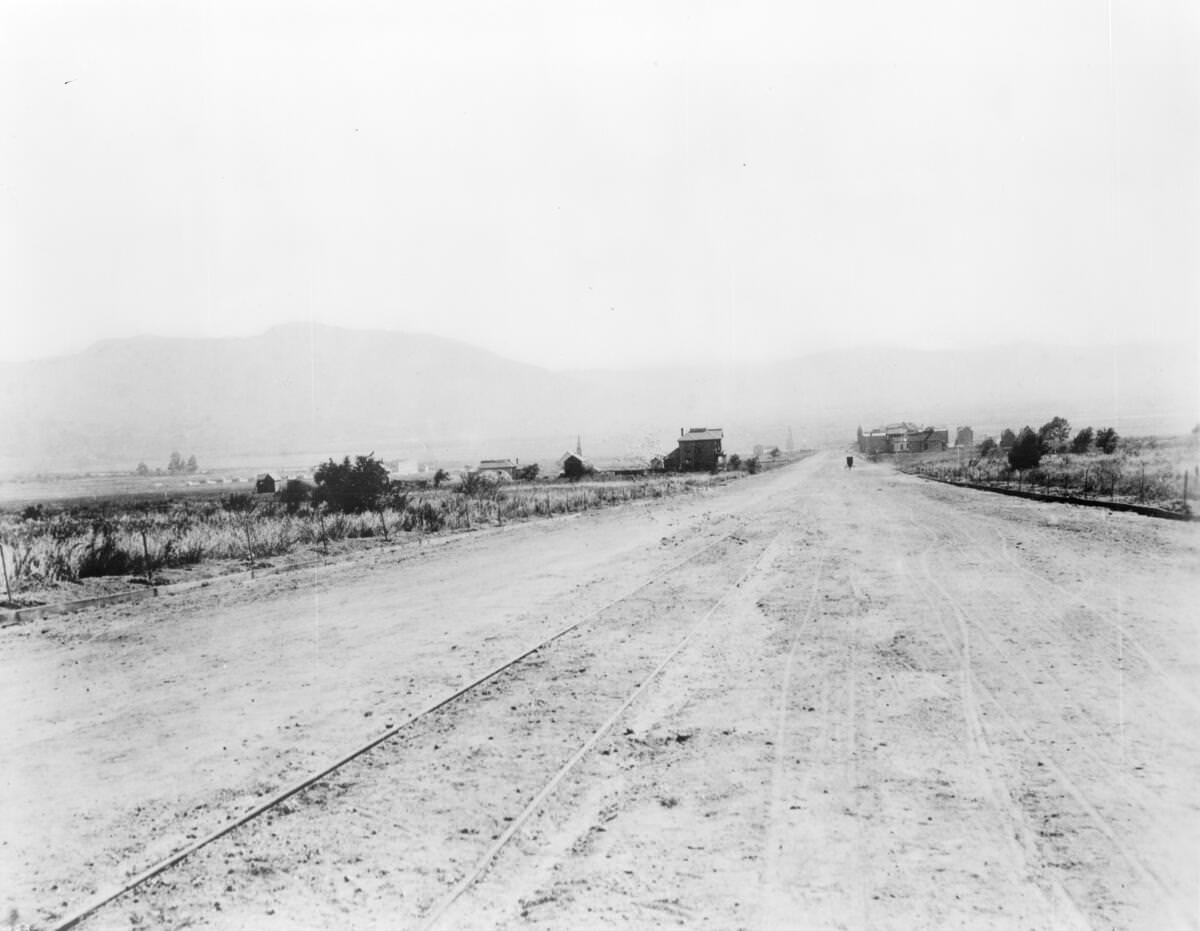 View of Olive Avenue looking southeast, showing Burbank in the distance, ca.1887