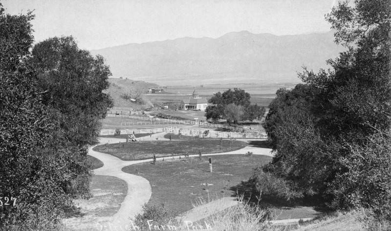 Glendale ostrich park 1885
