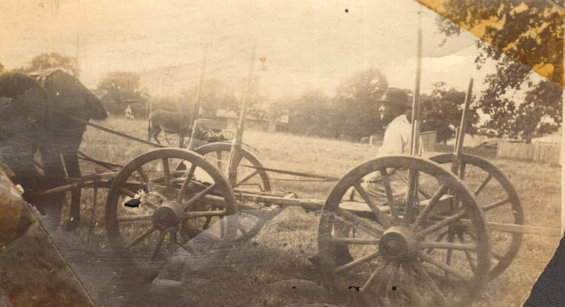 Man on a horse drawn log wagon, 1910