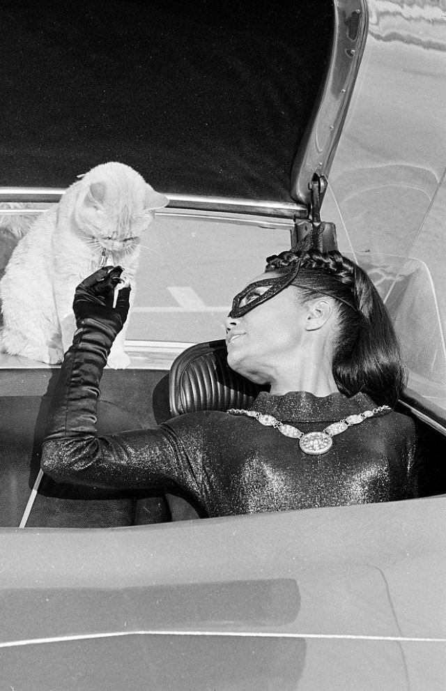 Eartha Kitt as Catwoman: The Short-lived Empowering role that became a Legacy
