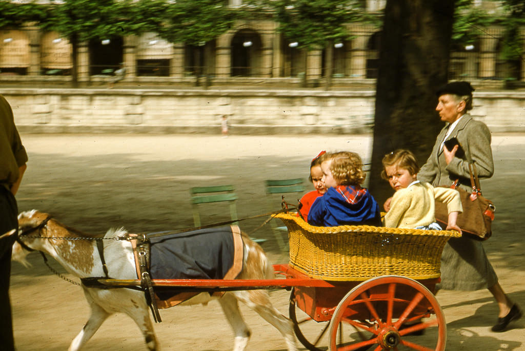 The Tuileries Garden, Paris in June 7, 1952