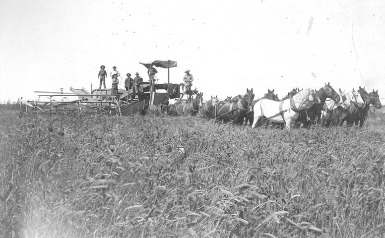 Harvester Crew on T.W. Standart's Huron Ranch 1894