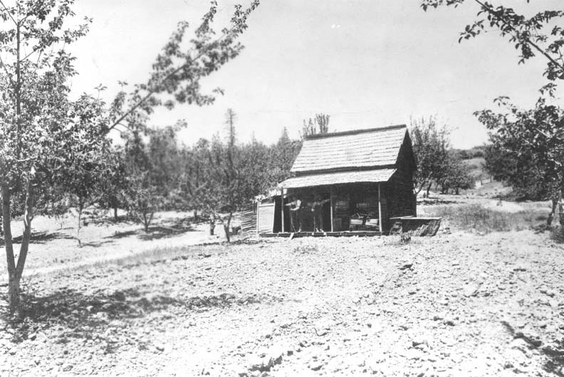 Young's Cabin 1893