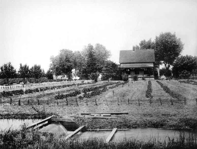 Twenty-acre Colony Farm Fresno County California, 1890