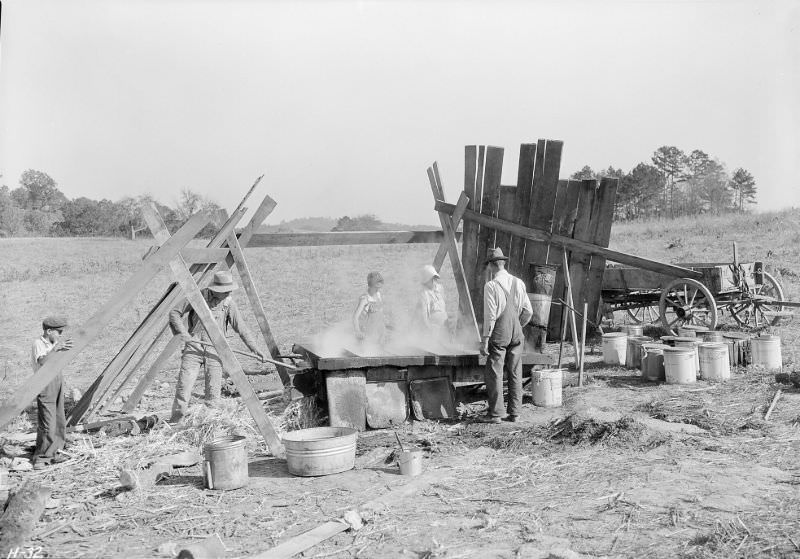 Up-to-date method of making molasses on the farm of Fred Hatmaker.