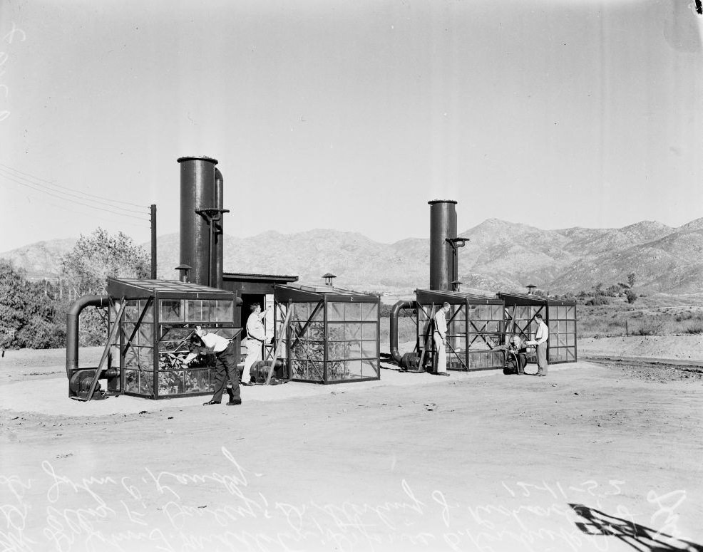 Smog tests, 1952