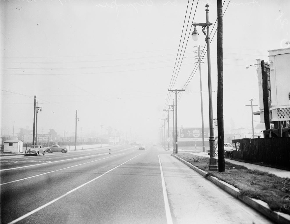 Olive Drive from Sunset Boulevard, 1950