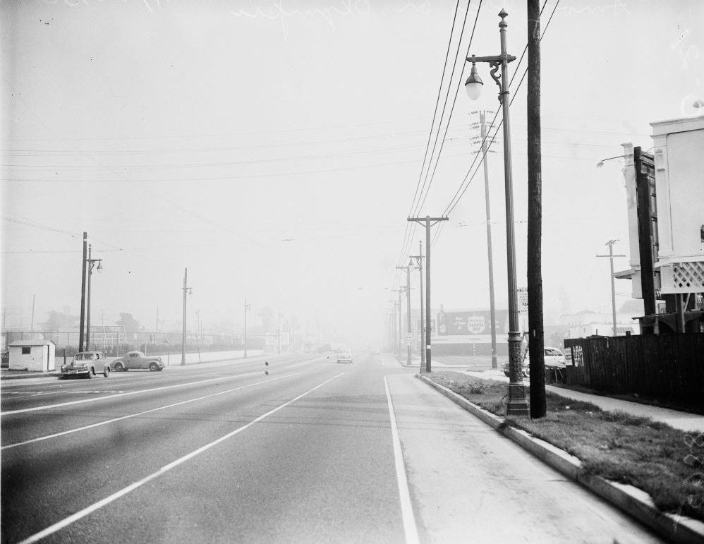 Olive Drive from Sunset Boulevard, 1950