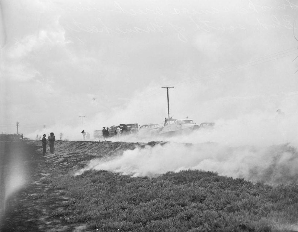 Wrecks caused by smog obscuring road, 1948.