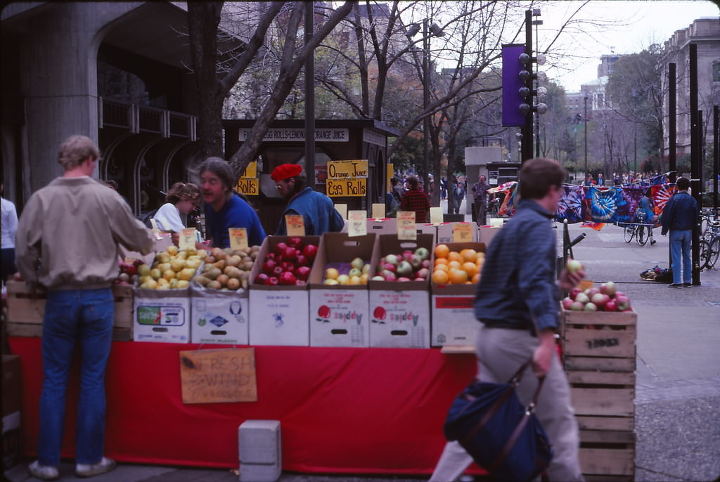 Library Mall, UW Madison, Fall 1985