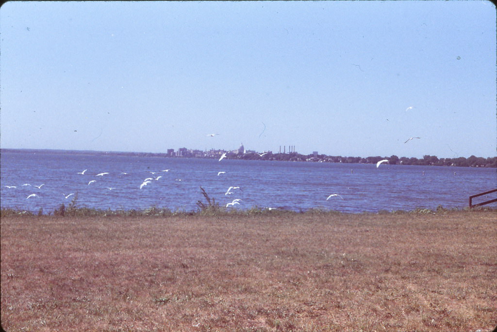 Madison Skyline from Olrich Park, Lake Monona, 1980s