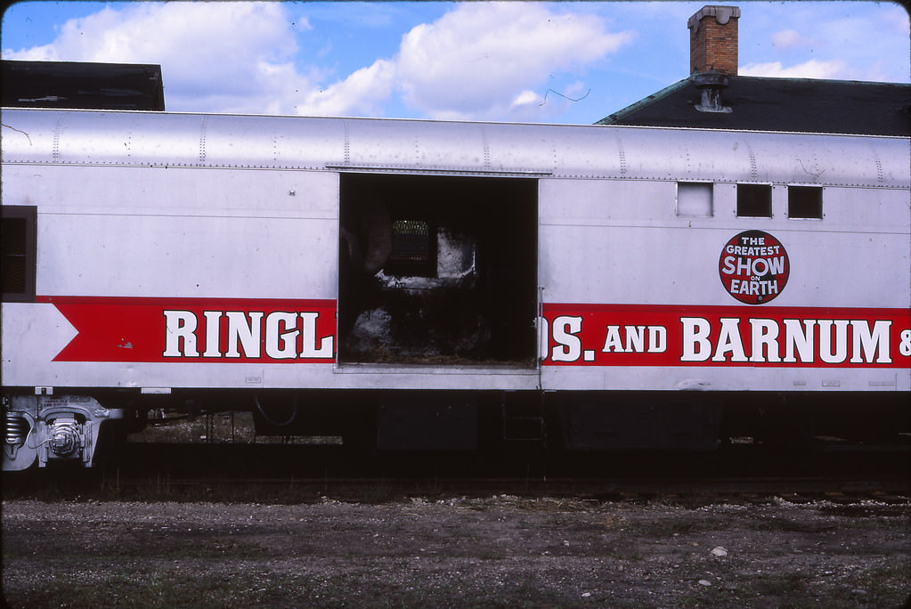 Circus Train, Madison Fall 1986