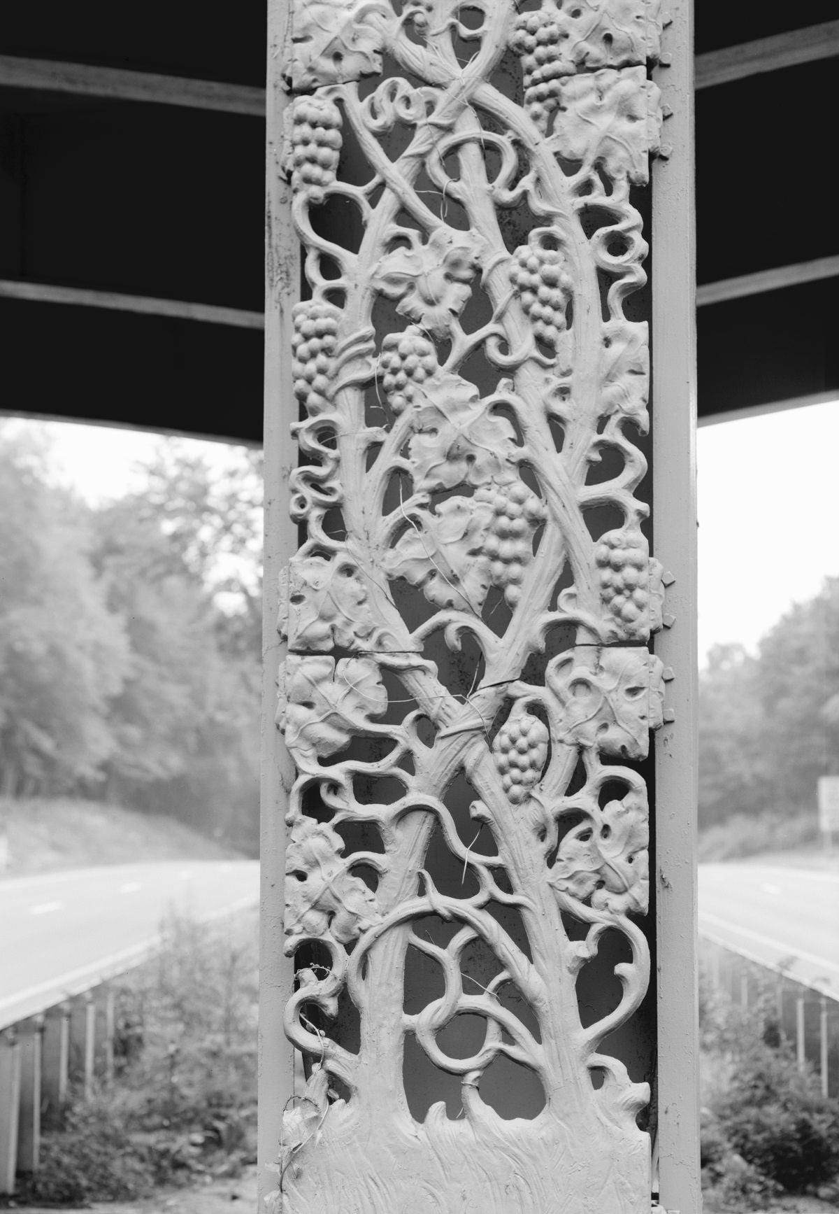 Grape Vines on Lake Avenue Bridge