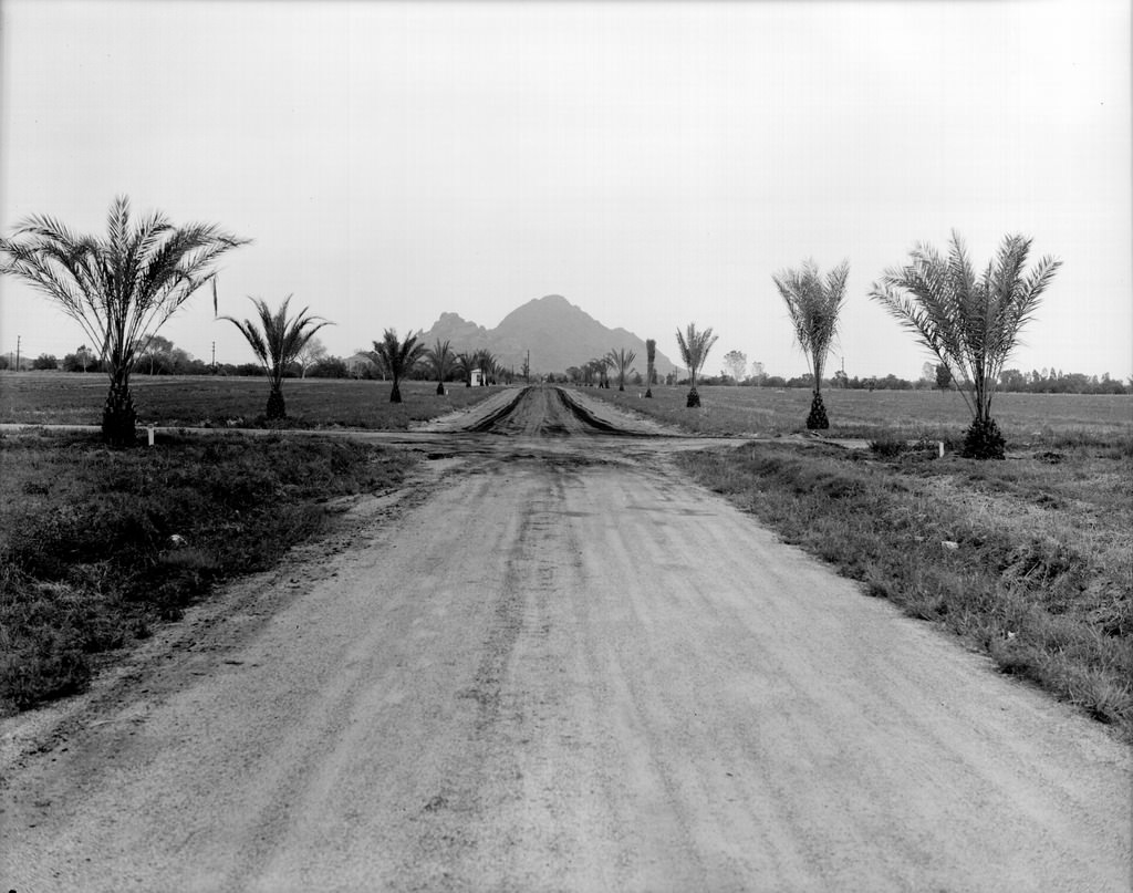 Biltmore Acres, Phoenix, 1940