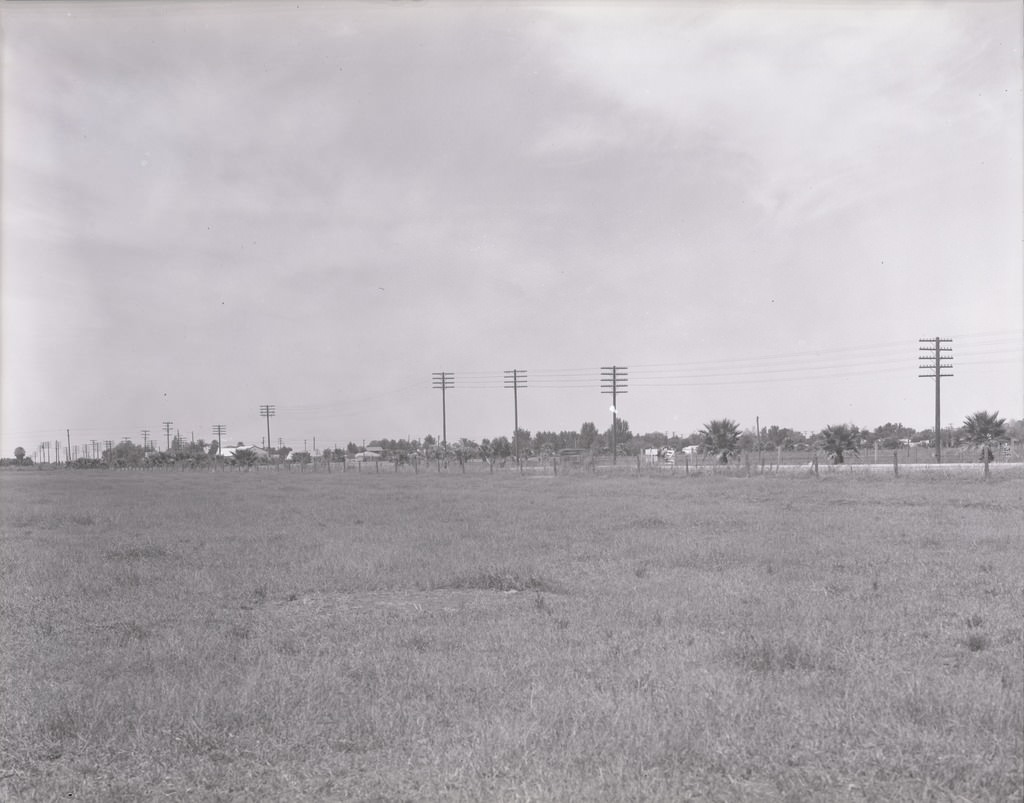 Panoramic View Looking Toward the Campus of Arizona State Teacher's College, Phoenix, 1940