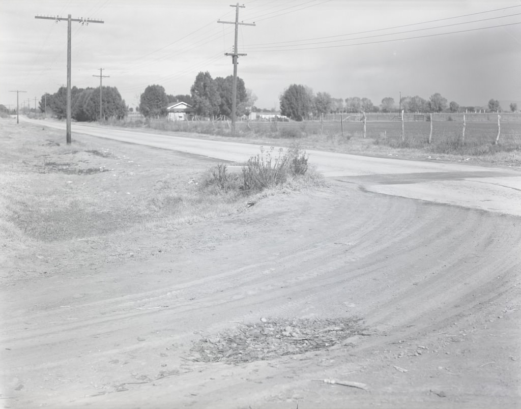 Rural Road near Gilbert, Arizona, Phoenix, 1940