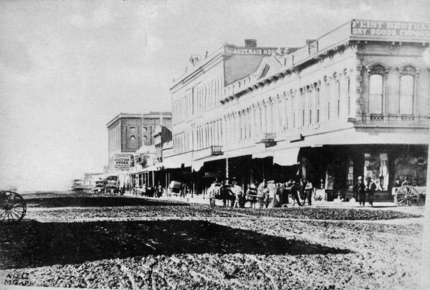 Santa Clara Street, San Jose, 1880.