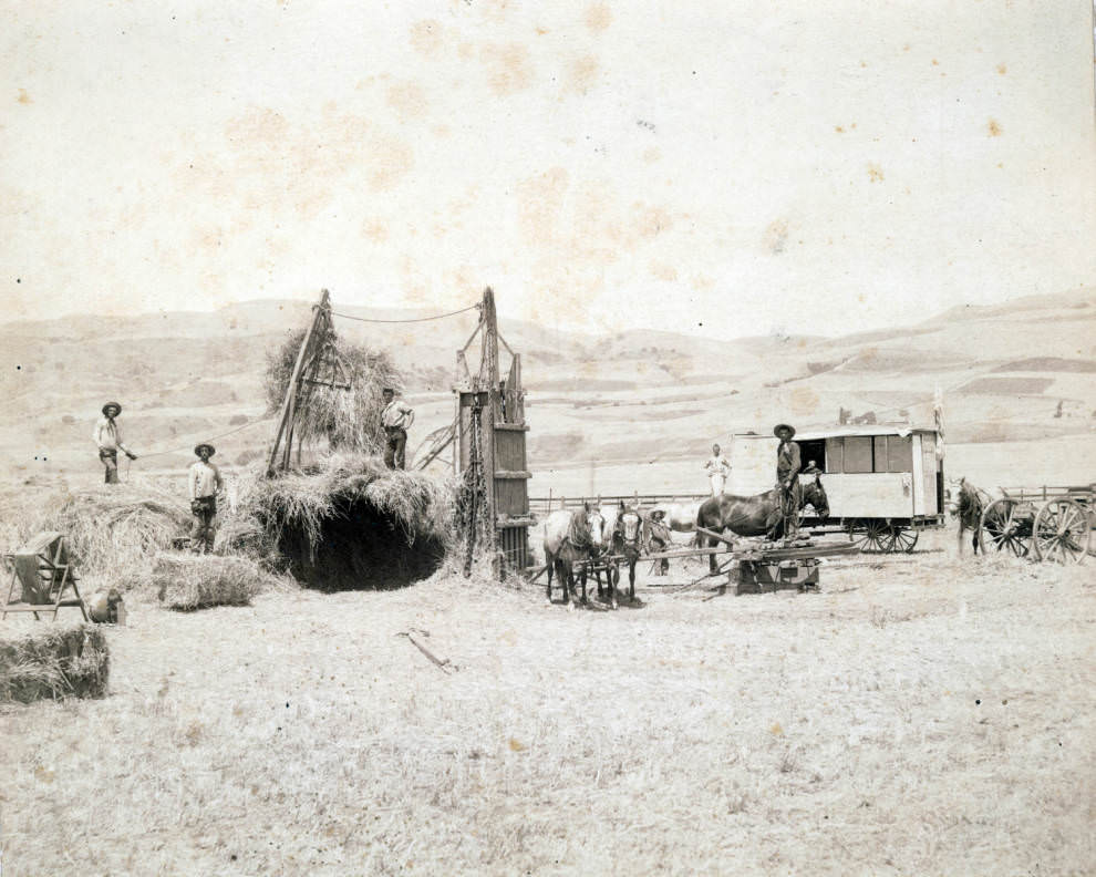 Haypress on Santa Clara County ranch, 1891